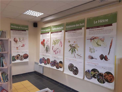Exposition