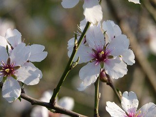 Observatoire des saisons