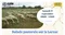 Balade pastorale sur le Larzac - 19 septembre