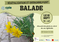 Végétalisation et environnement :  balade végétale