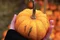 Atelier créatif « décoration d’Halloween » à partir de courges et cuisine d’une soupe collective - Millau